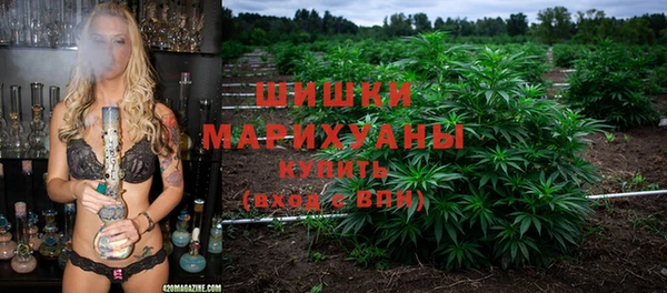 ГАЛЛЮЦИНОГЕННЫЕ ГРИБЫ Белоозёрский