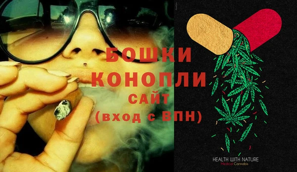 ГАЛЛЮЦИНОГЕННЫЕ ГРИБЫ Белоозёрский