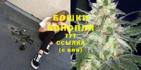ешки Белокуриха