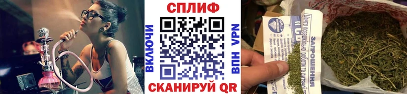 где купить наркоту  Купино  МАРИХУАНА THC 21% 